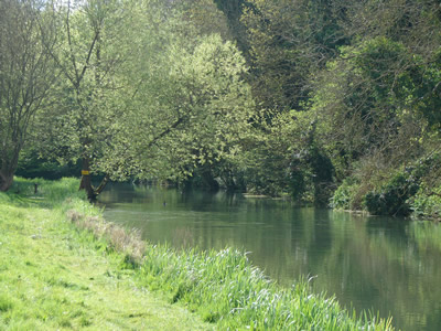 River Avon